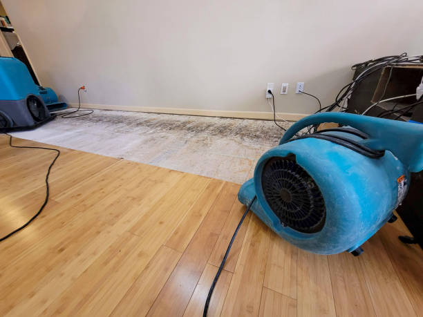 Professional Flood Damage Cleanup technician working in Coleman, MI